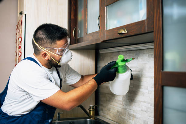 Best Local Pest Control Services  in Fivepointville, PA