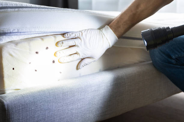 Best Best Pest Control Companies  in Fivepointville, PA