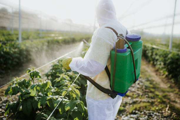 Best Pest Prevention Services  in Fivepointville, PA